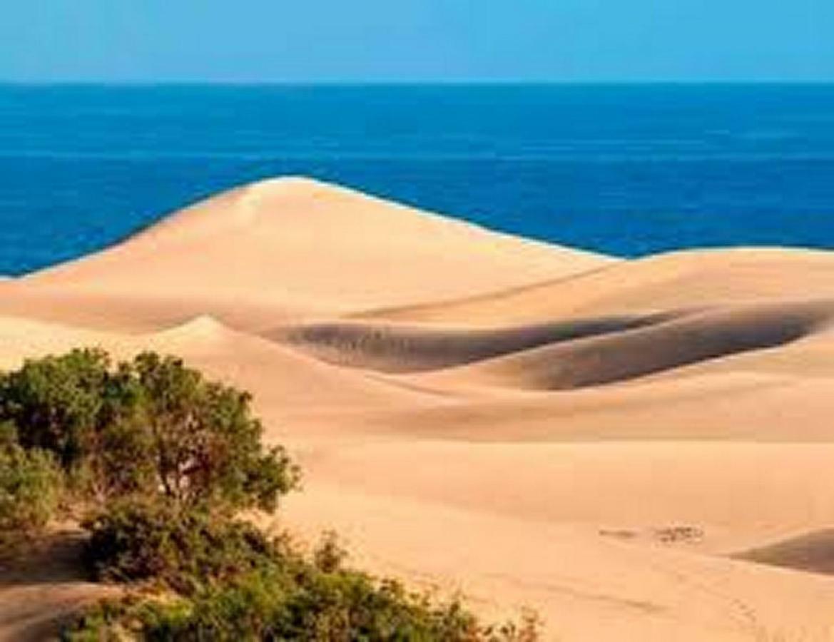 Bungalow Dunas&Sea Maspalomas Маспаломас Екстер'єр фото
